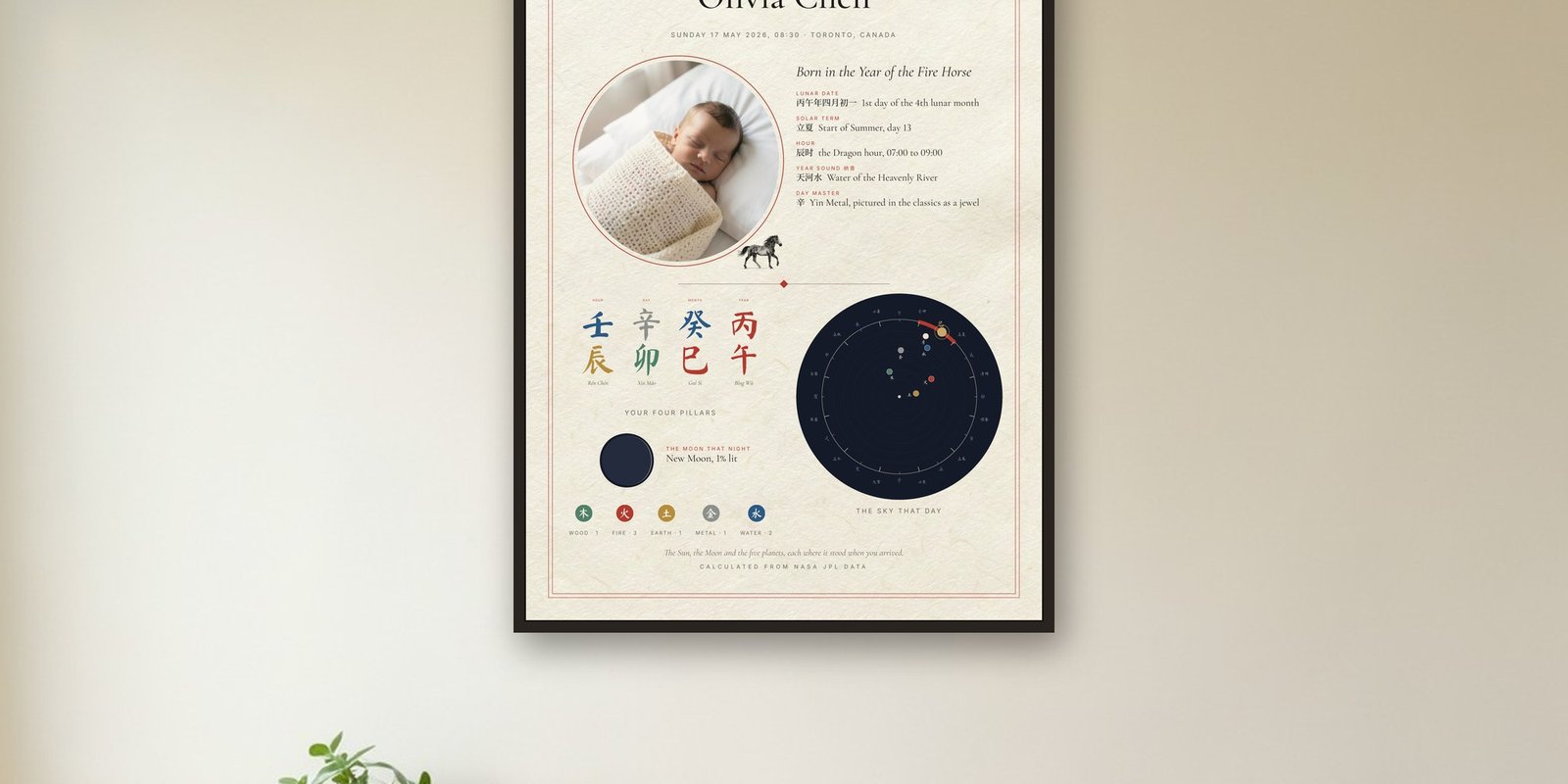 Newborn Birth Print